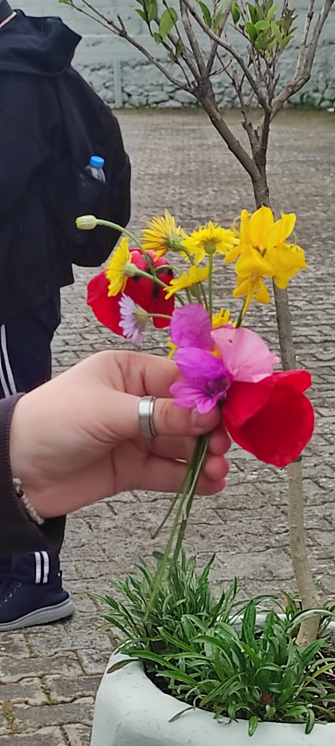 Δίστομο: Ένα μπουκέτο λουλούδια από τα νιάτα της Νίκαιας!