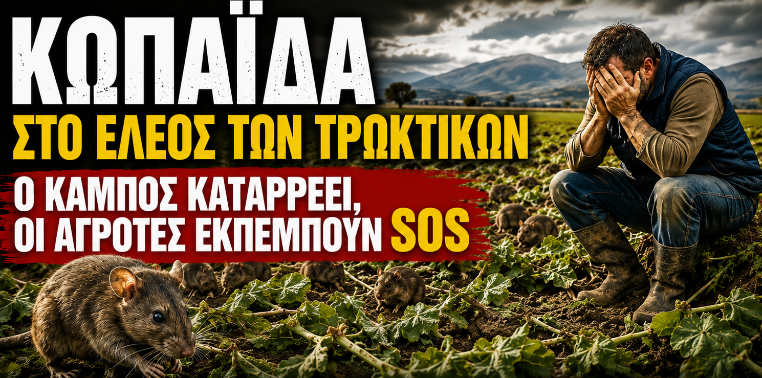 ΚΩΠΑΪΔΑ site